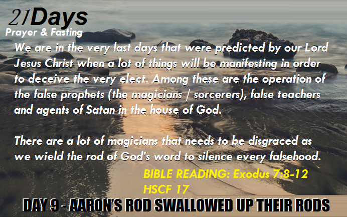 DAY 9 – AARON’S ROD SWALLOWED UP THEIR RODS